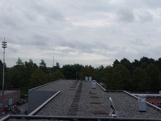 DSC07106