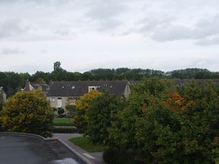 DSC07110