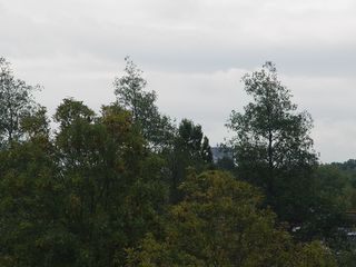 DSC07112
