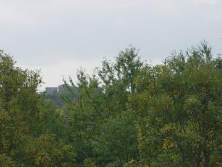 DSC07115