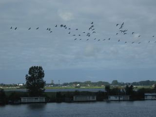 KWVdeKaag okt2013 05
