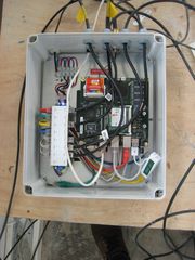 IMG 5652