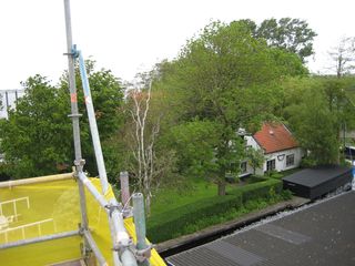 IMG 5682