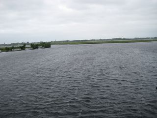 IMG 5687