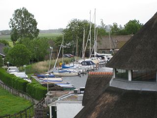 IMG 5698