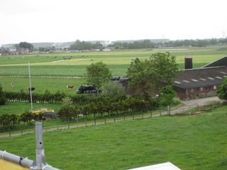 IMG 5699
