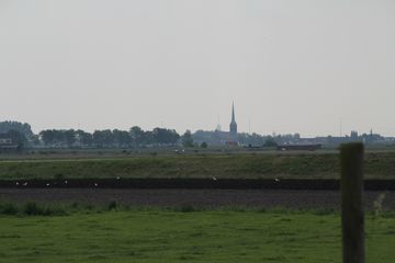 RES-IMG 2767