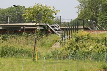 RES-IMG 2800