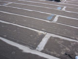 img 0888