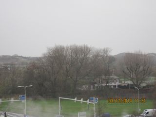 IMG 4451