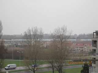 IMG 4456