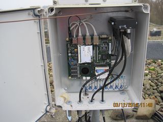 IMG 4461