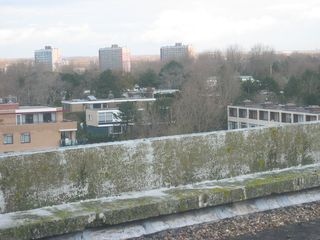 nachtegaallaan0003