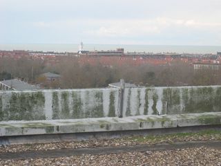nachtegaallaan0006