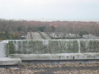 nachtegaallaan0007