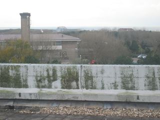 nachtegaallaan0008