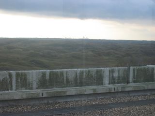 nachtegaallaan0011
