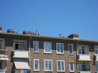 Rijnmond-aanzicht-04