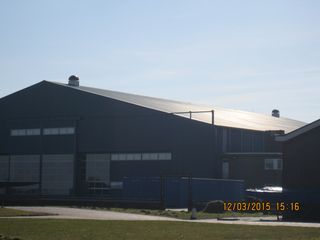 IMG 4875