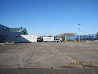 IMG 4884