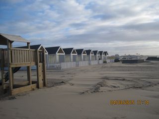 IMG 4803