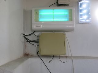 IMG 4096