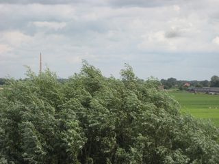 2011 08 08 kempers25