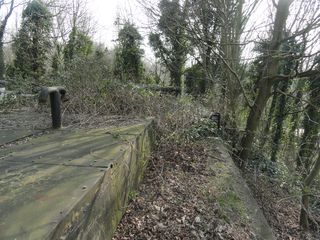DSC00480
