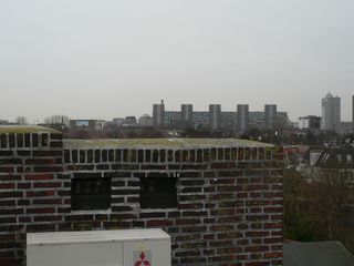 lhs66