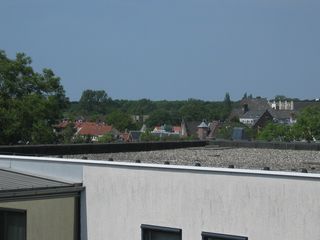 img 3109