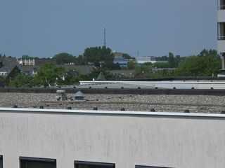 img 3110