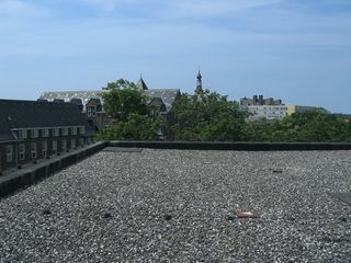 img 3123