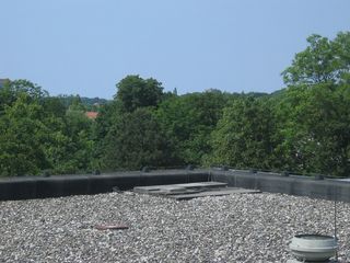 img 3125