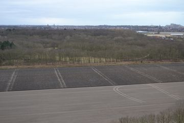 DSC 3490