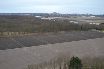 DSC 3491