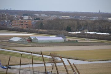 DSC 3661