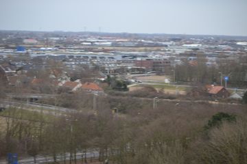 DSC 3667