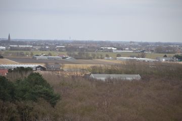 DSC 3674
