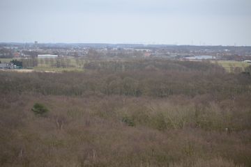 DSC 3676