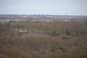 DSC 3678