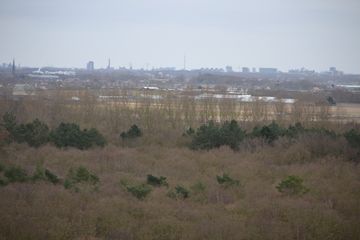 DSC 3681