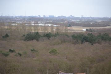 DSC 3683