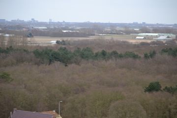 DSC 3684
