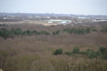 DSC 3685