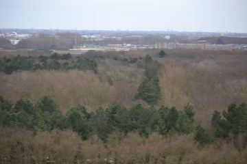 DSC 3688