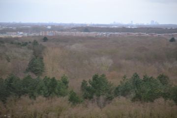 DSC 3689