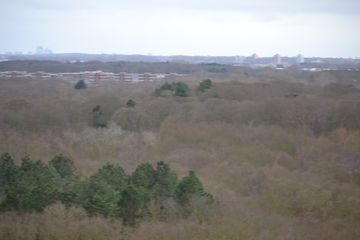 DSC 3691