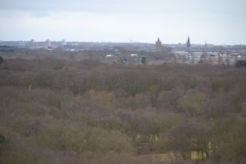 DSC 3692