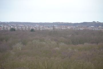DSC 3694