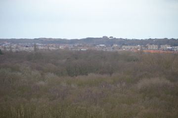DSC 3695